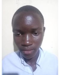 Filex Obarasa