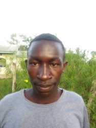 Ikojoi Filex
