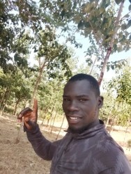 Isaya Mkenya