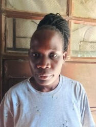 Jogoo Sheila