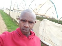 Kipkorir Denis