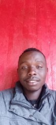 Komen Gilbert