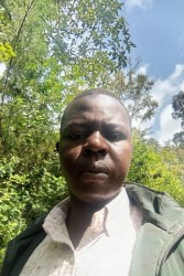 Mandela Konga