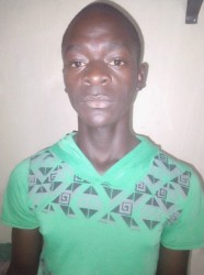 Maurice Junior