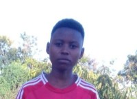 Muli Stella