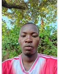 Murithi Alex