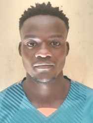 Musa Maree