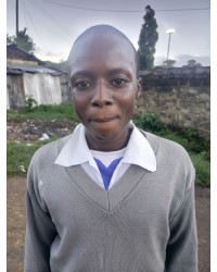 Musa M