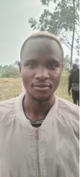Musita David