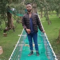Mwai Brian