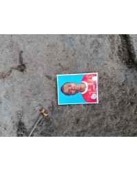 Mwendwa Alex