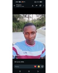 Newton Mureti