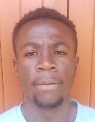 Ngao Ali