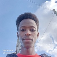 Ngugi Stanley