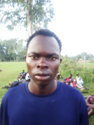 Obale Phelton