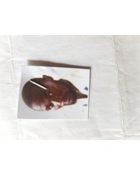 Odhiambo Evance Osellu