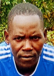 Ouma Santos Herbat
