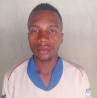Seleman Disii