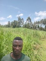 Shadrack Isanya