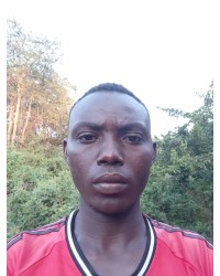 Wambua Vincent Musyoka
