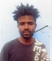 Wanjema David